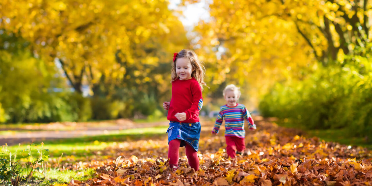 Autumn Activities for Kids to Enjoy over October half term