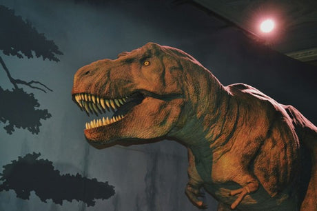 All the Dinosaurs in the Jurassic World Films