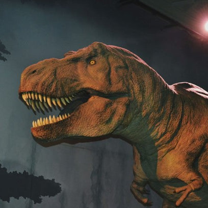 All the Dinosaurs in the Jurassic World Films