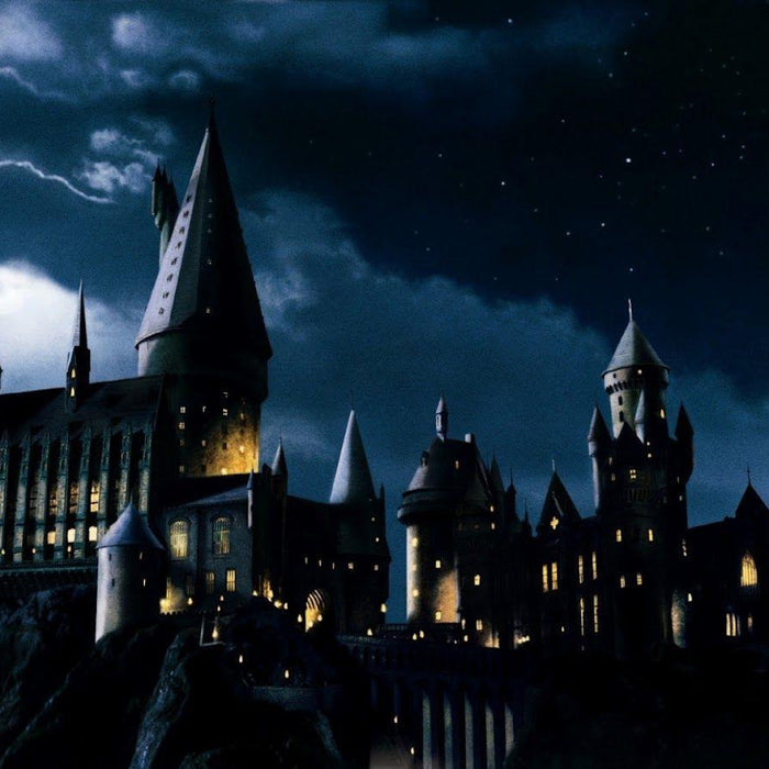 Which HARRY POTTER Character Are YOU?