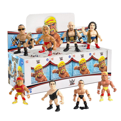 Loyal Subjects WWE Wrestling Action Vinyl Collectible Figure Blind Box