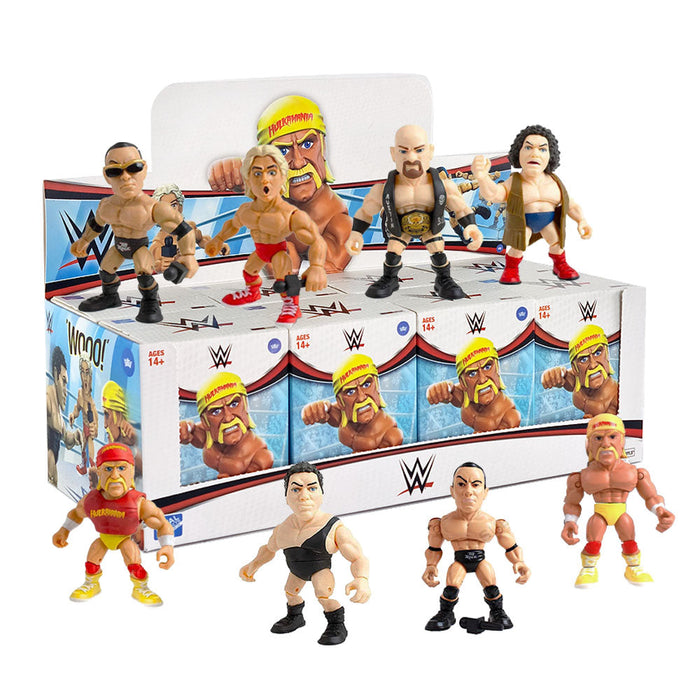 Loyal Subjects WWE Wrestling Action Vinyl Collectible Figure Blind Box
