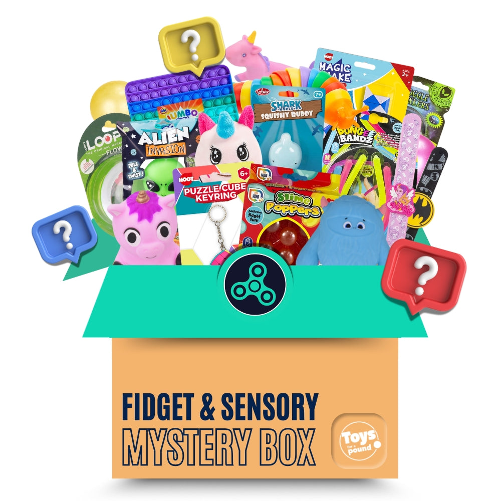 Fidget & Sensory Surprise Mystery Box