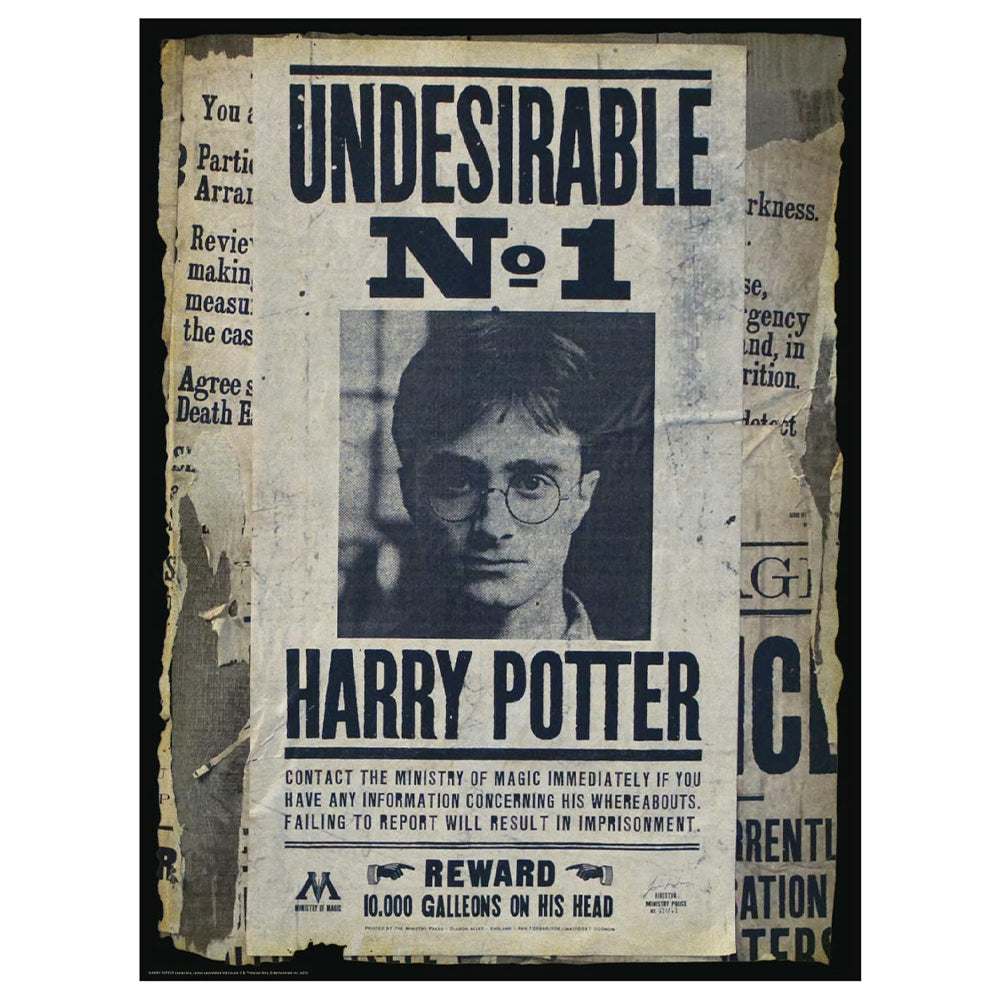 Harry Potter Wanted Poster Day To Night Scratch Off Jigsaw Puzzle 500pc