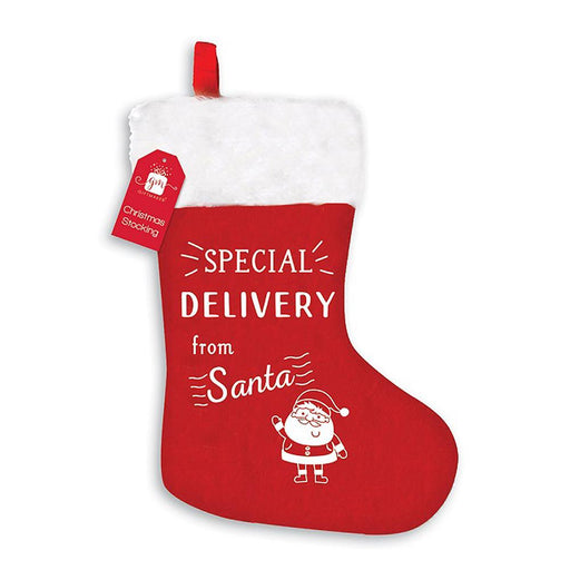 Christmas Special Delivery 45cm Stocking